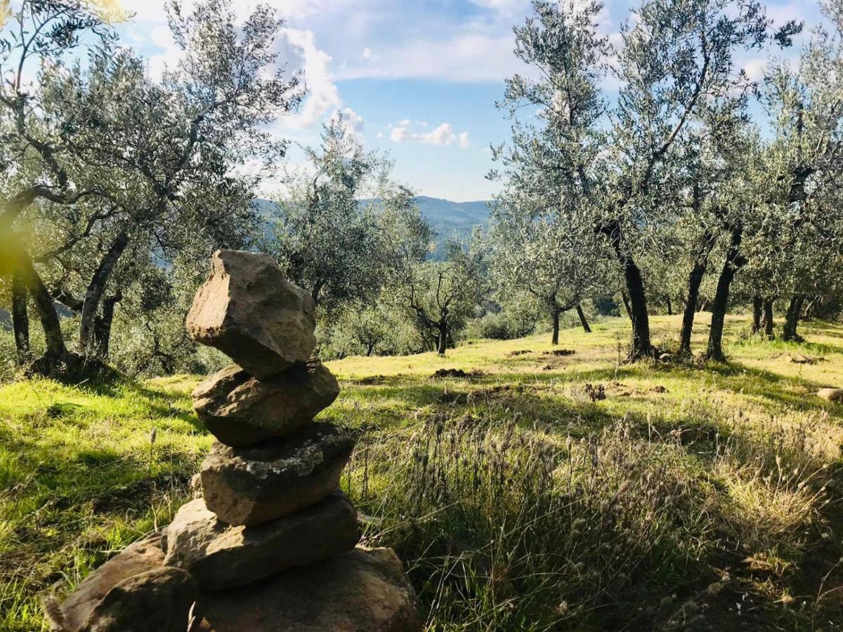 Corte Di Valle Greve in Chianti Exteriér fotografie