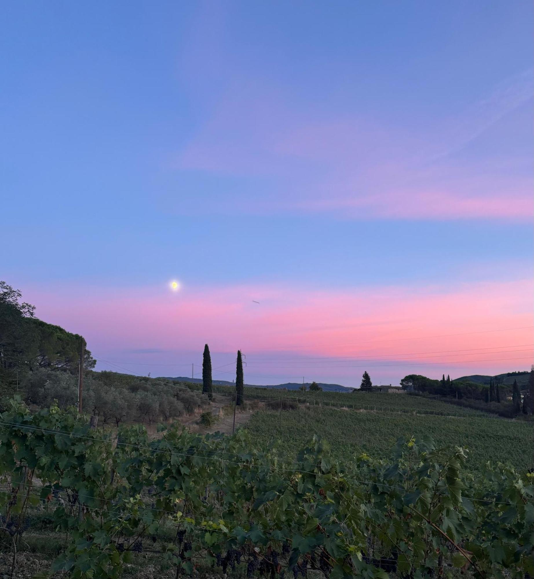 Corte Di Valle Greve in Chianti Exteriér fotografie